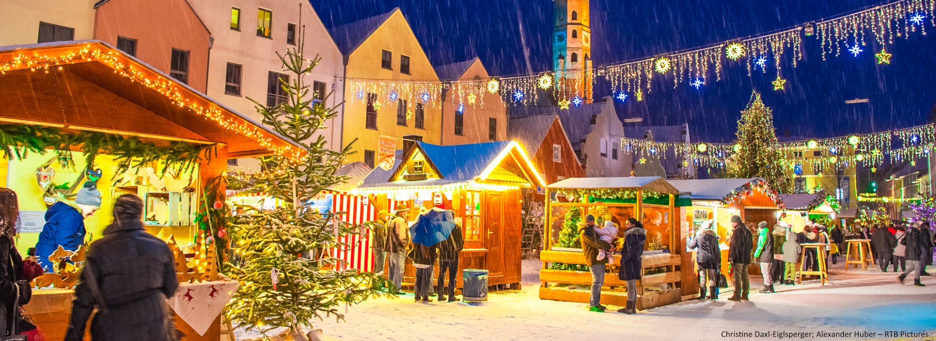 Mit dem Dingo zum Nikolausmarkt