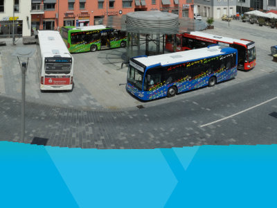 DINGO-Stadtbusse an einer Haltestelle